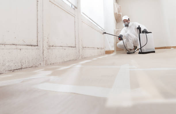 24/7 Emergency Basement Mold Remediation experts in Milton, FL